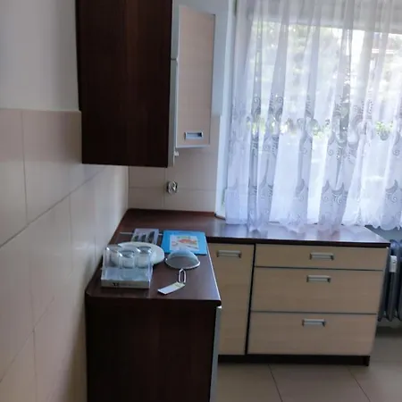 Na Wyszynskiego - Mieszkanie W Centrum Myszkowa Dla Firm I Nie Tylko Apartamento