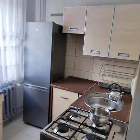 Na Wyszynskiego - Mieszkanie W Centrum Myszkowa Dla Firm I Nie Tylko