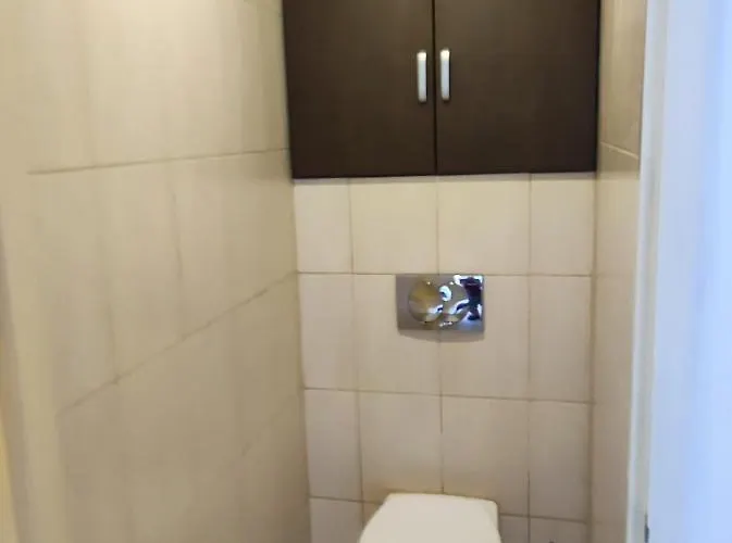 דירה 3 - Przestronne Mieszkanie W Centrum Myszkowa Dla Firm I Nie Tylko Myszków