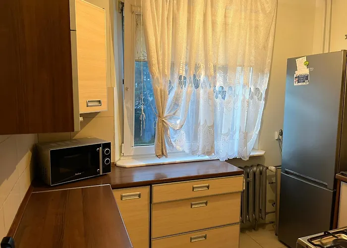 3 - Przestronne Mieszkanie W Centrum Myszkowa Dla Firm I Nie Tylko Myszków